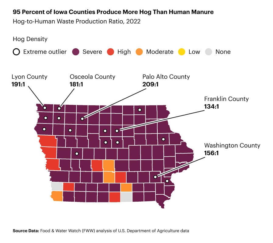 A map shows how most Iowa counties rank "severe" for hog density, and 95% of Iowa counties produce more hog than human manure. Lyon County produces more hog waste than human waste 191 to 1, Osceola County 181 to 1, Palo Alto 209 to 1, Franklin County 134 to 1, and Washington County 156 to 1.